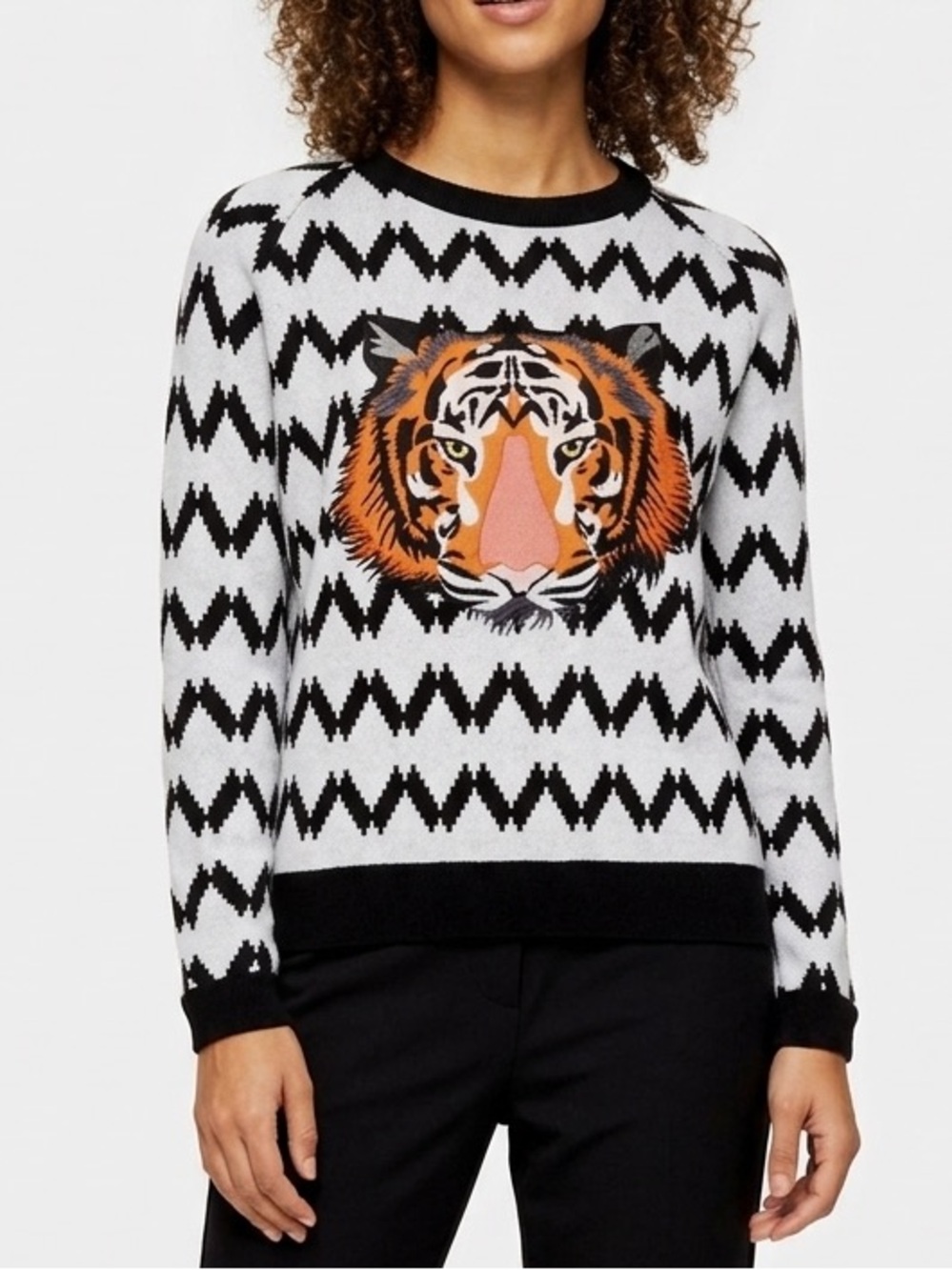Topshop Bold Tiger Appliqué Graphic Sweater